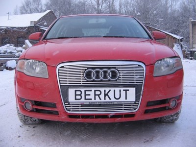 Накладка на решетку бампера d10 Audi (Ауди) A4 (А4) (8E) 2004-2008 ― PEARPLUS.ru