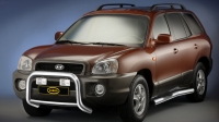 Боковые подножки(пороги) Hyundai 	 Santa Fe (Тагаз) (2000-2006)