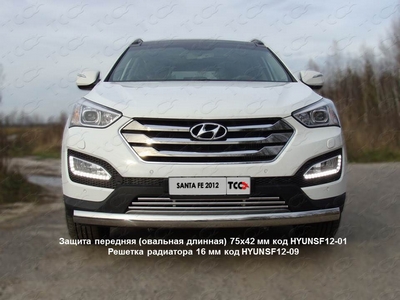 Защита передняя (овальная длинная) 75х42 мм на Hyundai (хендай) Santa Fe (санта фе) 2012 по наст. ― PEARPLUS.ru