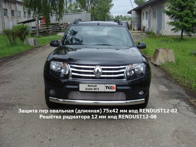 Защита передняя овальная (длинная) 75х42 мм на Renault (рено) Duster 2012 по наст. ― PEARPLUS.ru