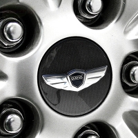Колпачки на колёсные диски  Hyundai Genesis Coupe (2008-2011)