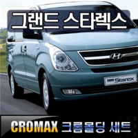 Набор молдингов зеркала + задние фонари  Hyundai Starex H1 (2007 по наст.)