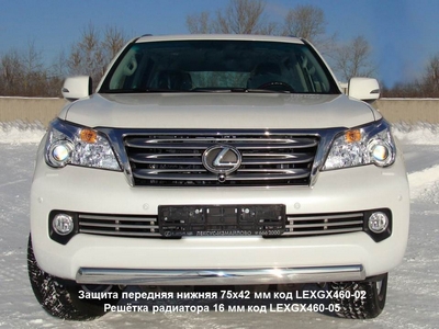 Защита передняя нижняя 75х42 мм на Lexus (лексус) GX460 2009 по наст. ― PEARPLUS.ru