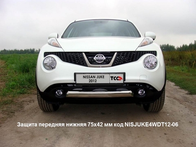 Защита передняя нижняя 75х42 мм на Nissan (ниссан) Juke (жук) 4 WD TURBO (2012 по наст.) ― PEARPLUS.ru