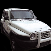 Накладка лобового стекла Hyundai Tager ТагАЗ (2008-2011)