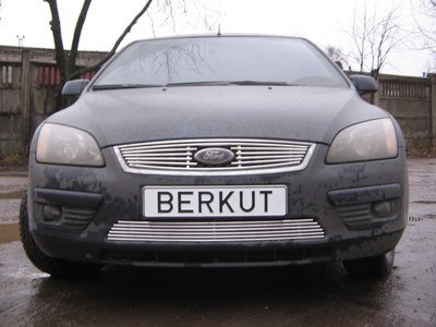 Накладка на решетку бампера d10 Ford (Форд) Focus 2004-2008 ― PEARPLUS.ru