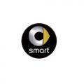 Подсветка в дверь с логотипом Smart