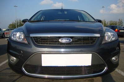 Защита радиатора Ford (Форд) Focus II рестайлинг 2008-2012 black ― PEARPLUS.ru