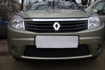 Защита радиатора Renault (рено) Sandero black ― PEARPLUS.ru
