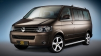 Боковые подножки(пороги) Volkswagen T5 Transporter/Multivan (2003-2009)