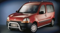 Боковые подножки(пороги) нерж. сталь (48мм)  Renault  Kangoo (2003-2008)